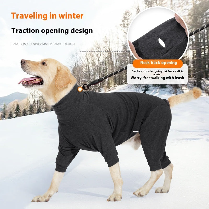 Dog Clothes