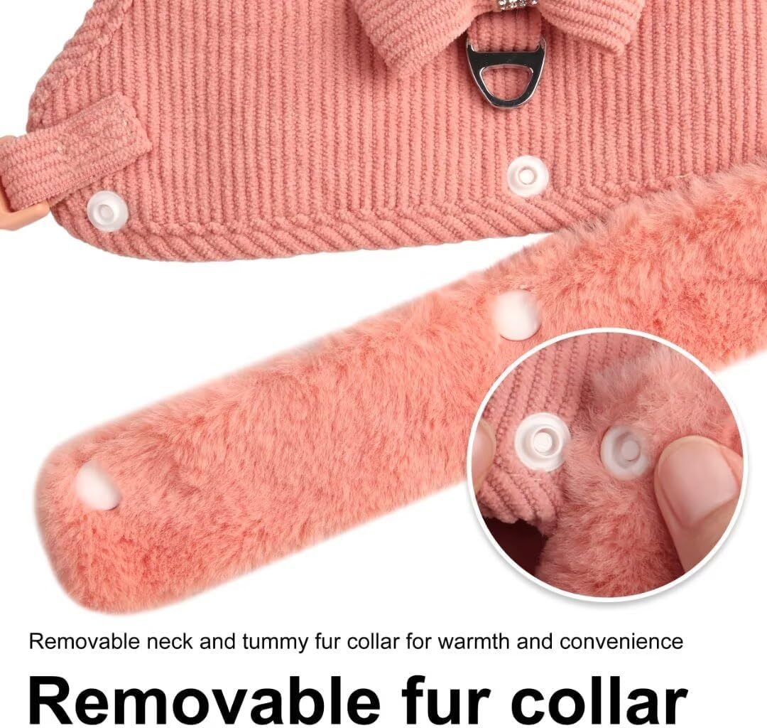 Dog Harness And Leash Set