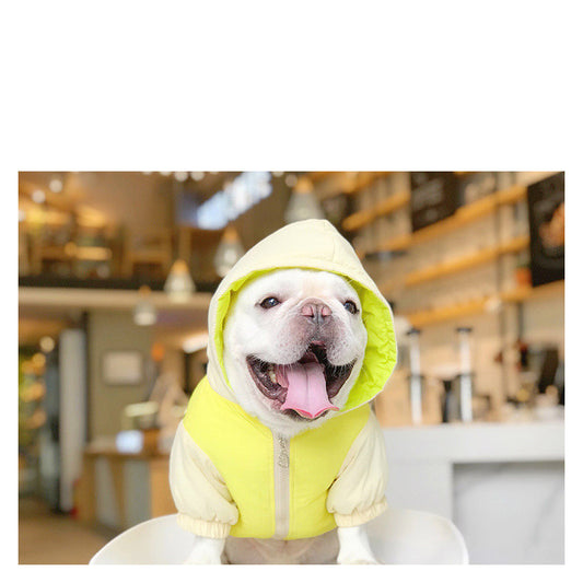 Dog Clothes