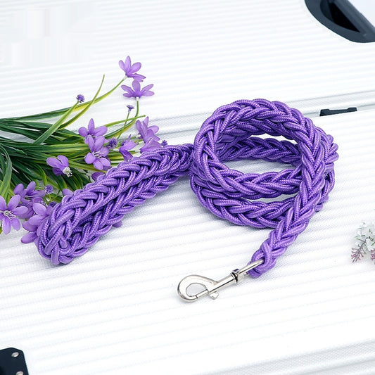 Pet leash with large dog rope