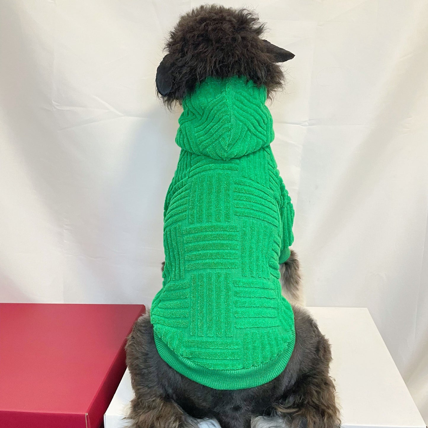 dog hoodie