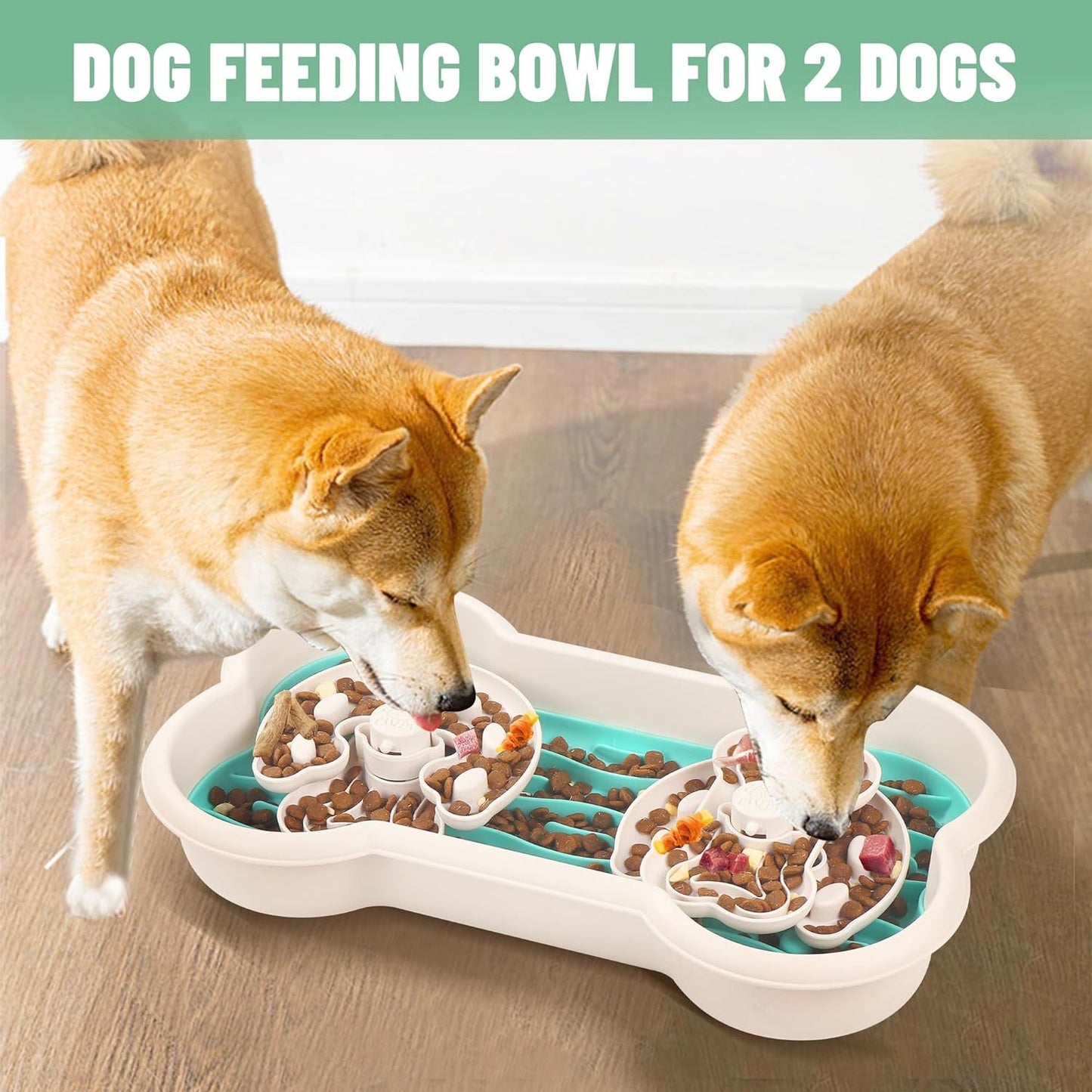 Dog Bowl