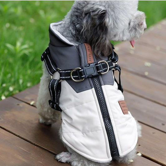 Dog Vest