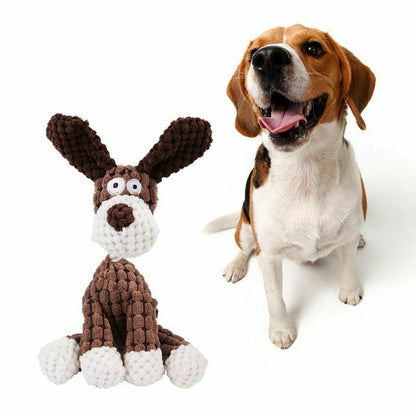 Dog Toy