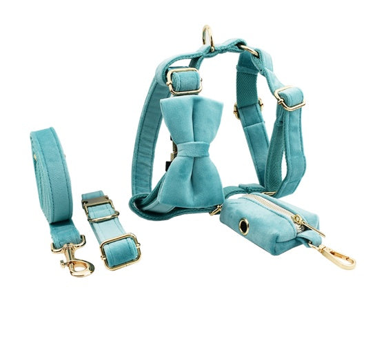 Collar Dog