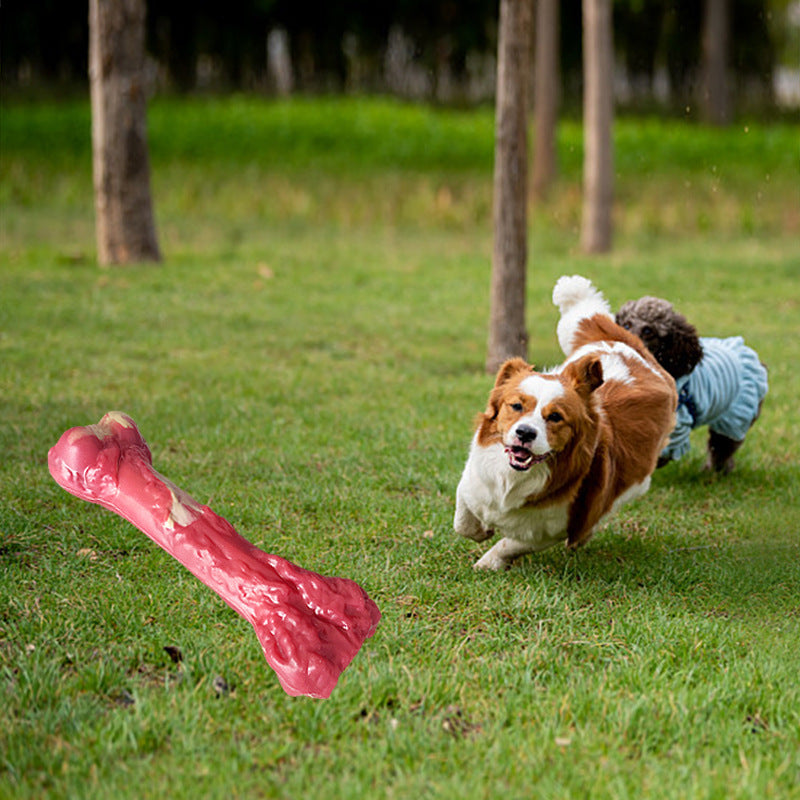 Dog Toy