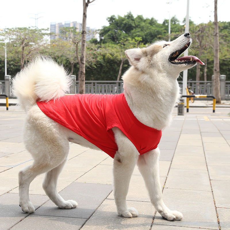 Dog Tshirt