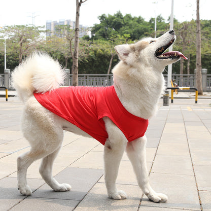 Dog Tshirt