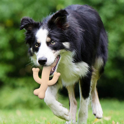 Dog Toy