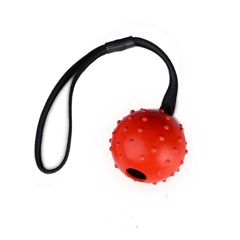 Dog Training Toy Ball