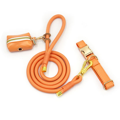 Dog Leash