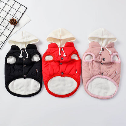 Dog clothes