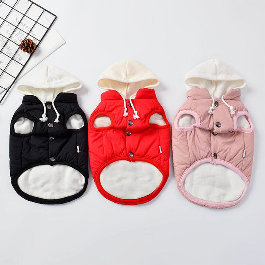 Dog clothes