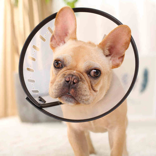 Dog Anti Bite And Licking Collar