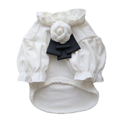 Dog Clothing