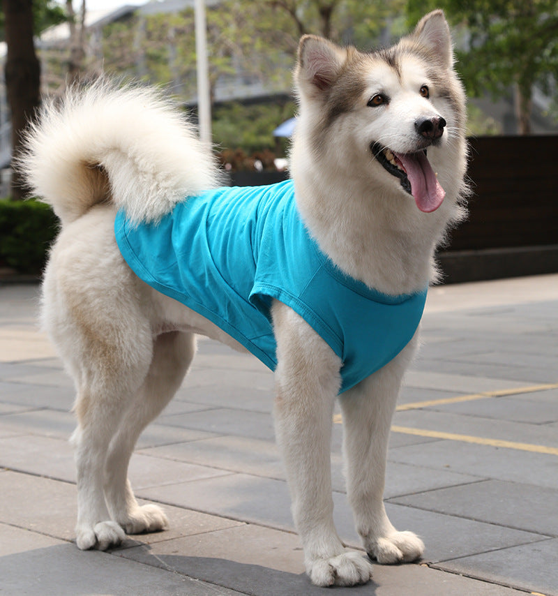 Dog Tshirt