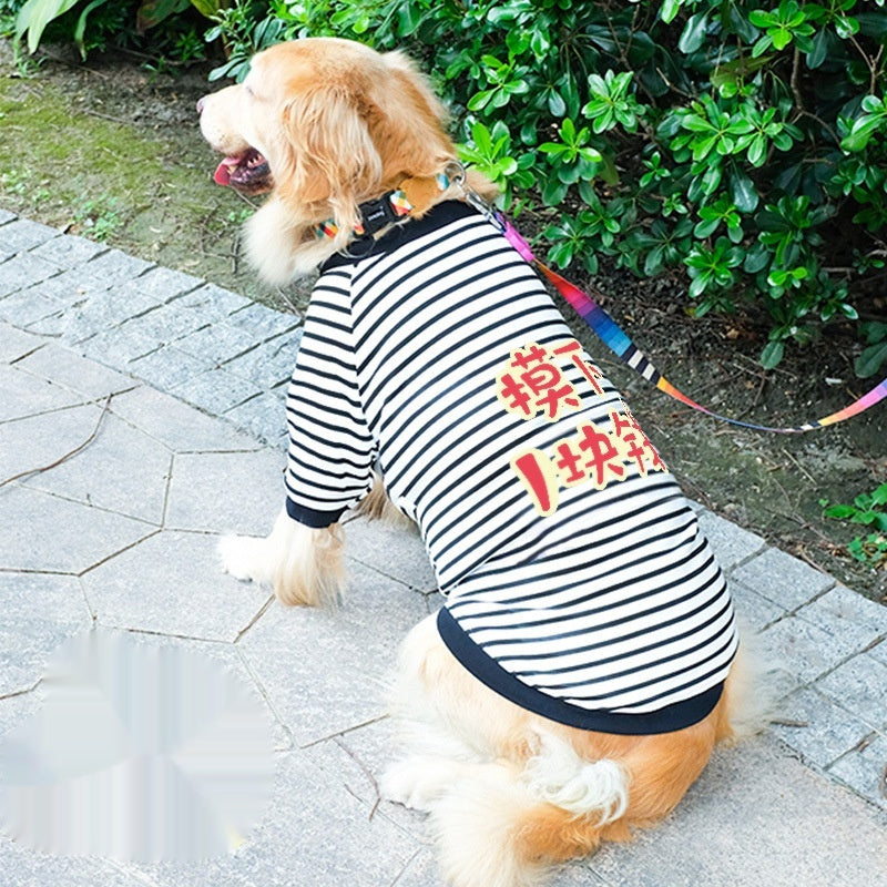Dog Clothes
