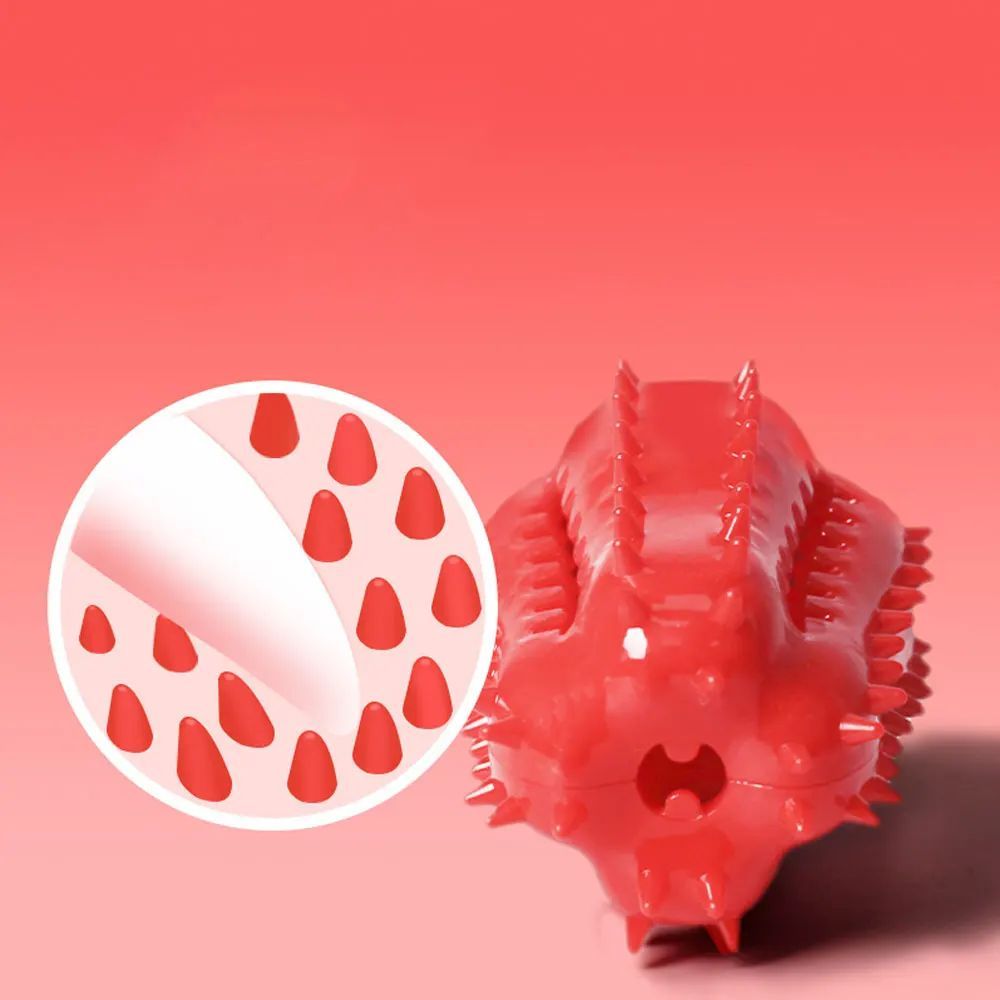 Dog Teething Toy