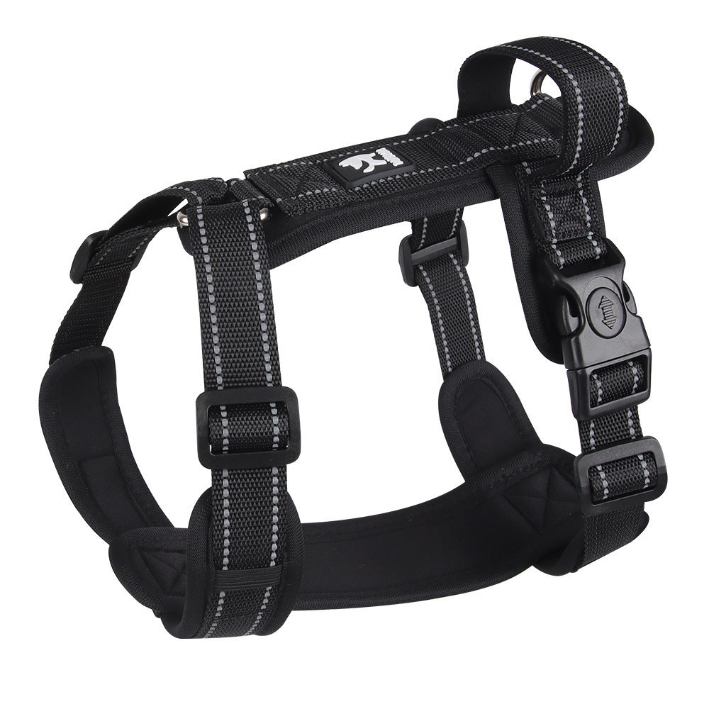 Dog  Leash