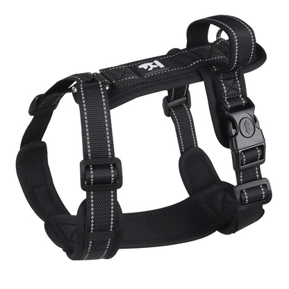 Dog  Leash