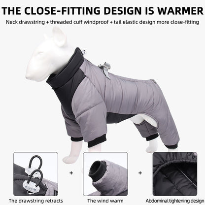 Winter Dog Clothes