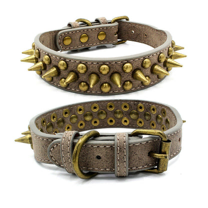 Dog Collar