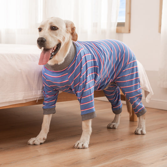 Dog Clothes
