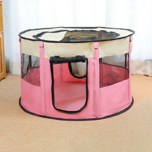 Dog House
