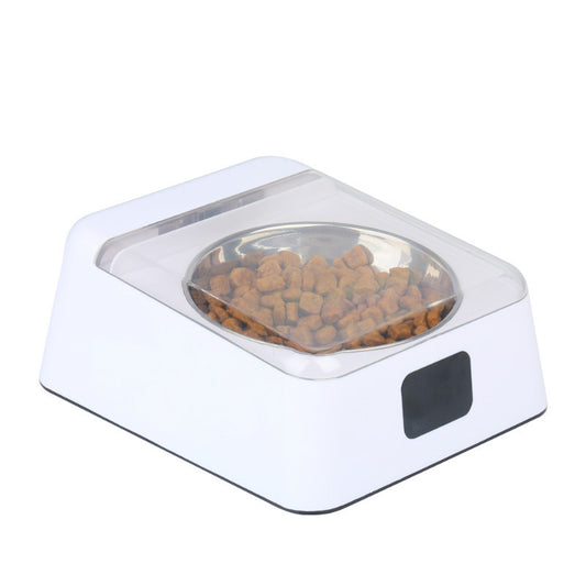Dog Bowl