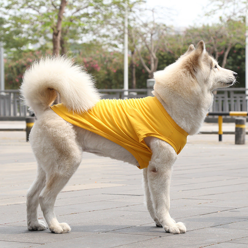 Dog Tshirt