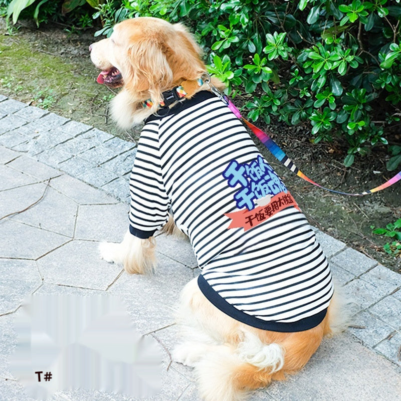 Dog Clothes