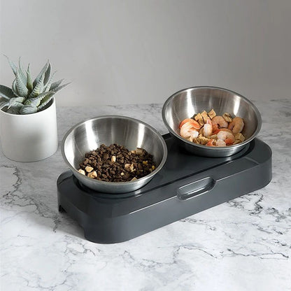 Dog Bowl