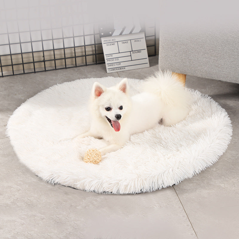 Dog  Blanket