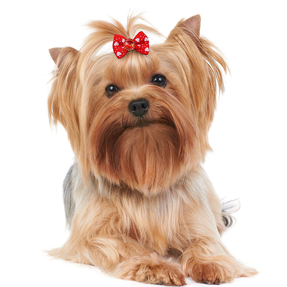 Dog Bow Rubber Band