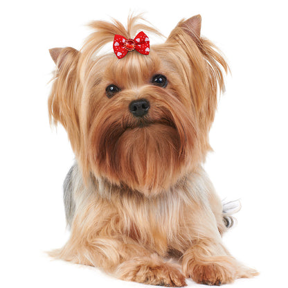 Dog Bow Rubber Band