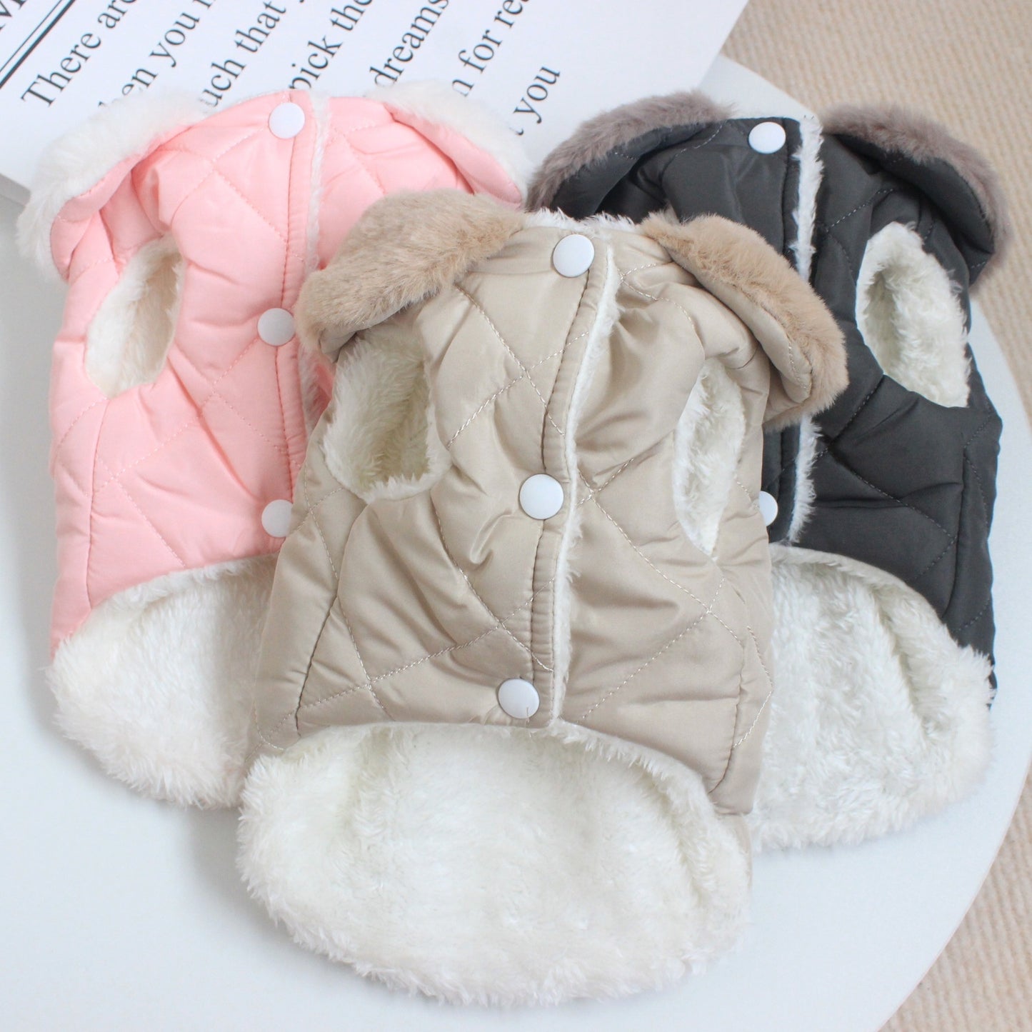 Dog Clothes