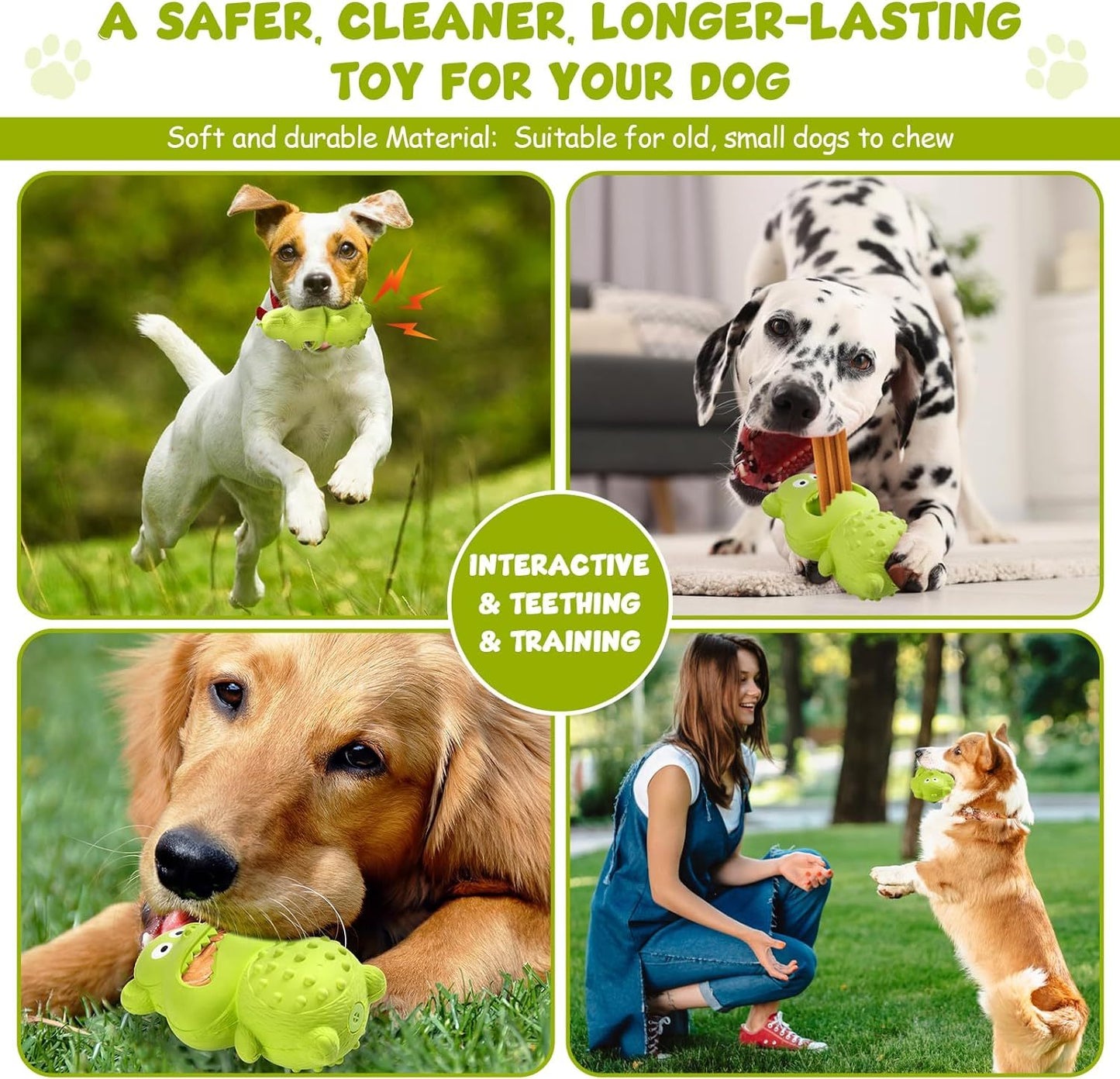 Dog Toy