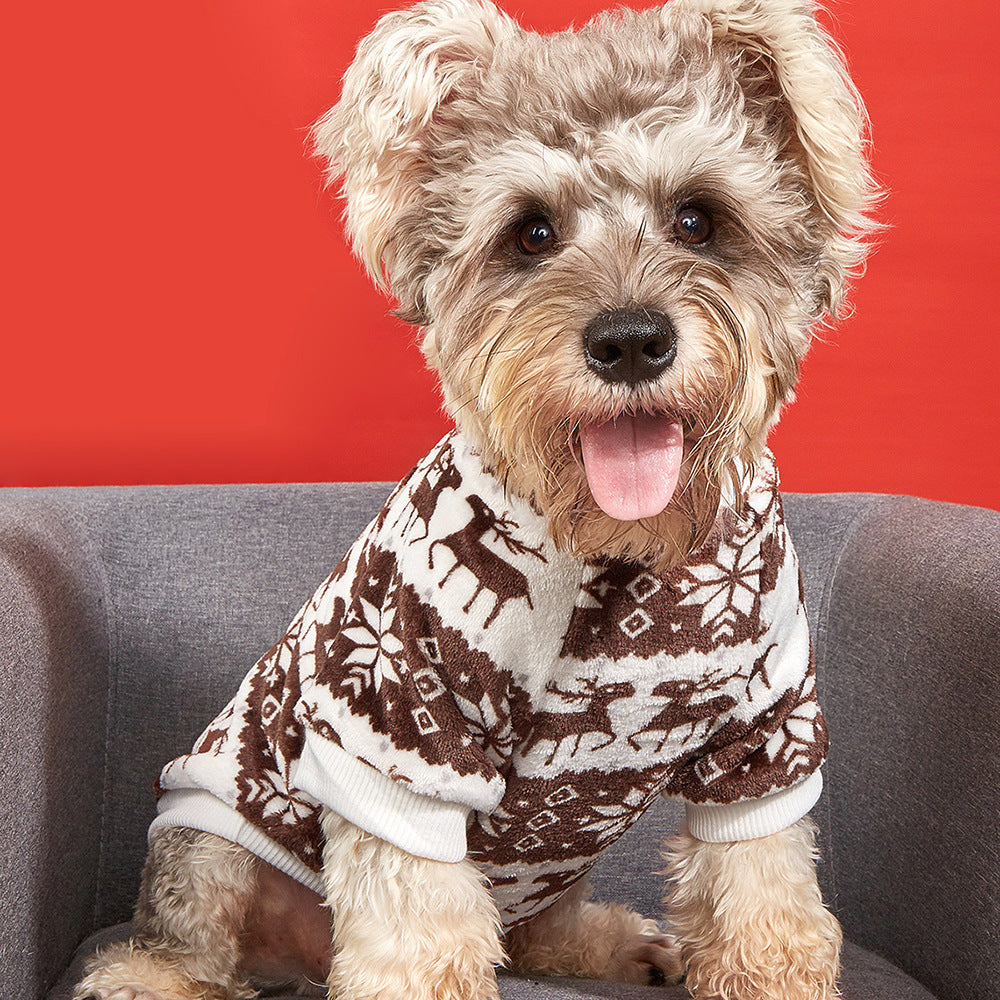 dog sweater