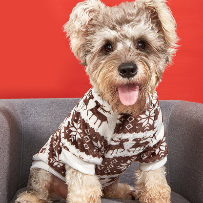 dog sweater