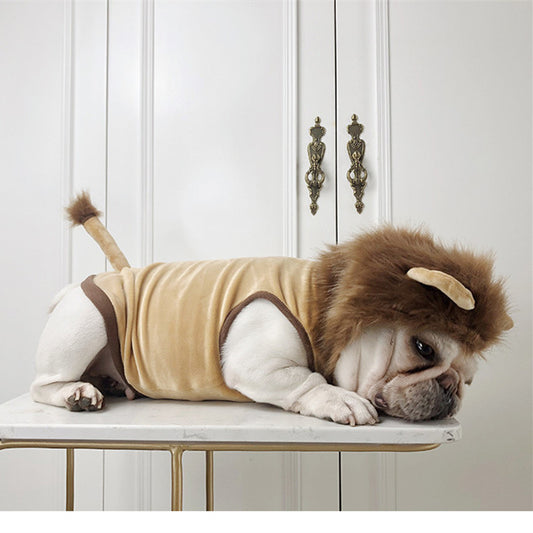 Dog Lion Clothes