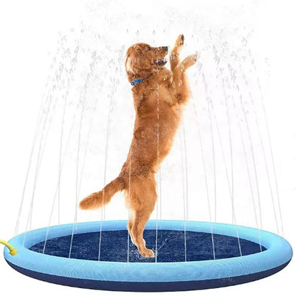 Dog Toy