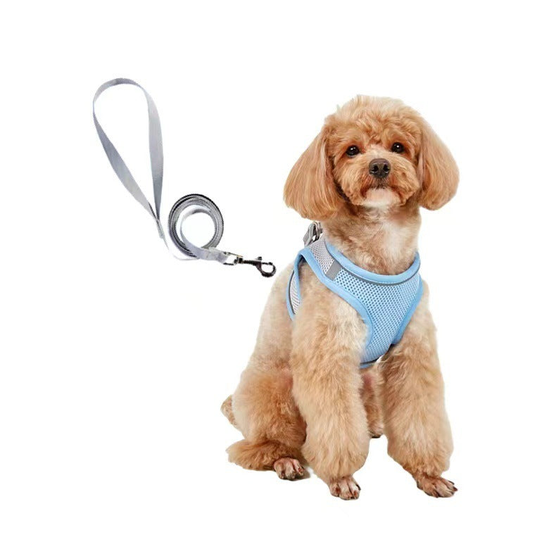 Dog Leash