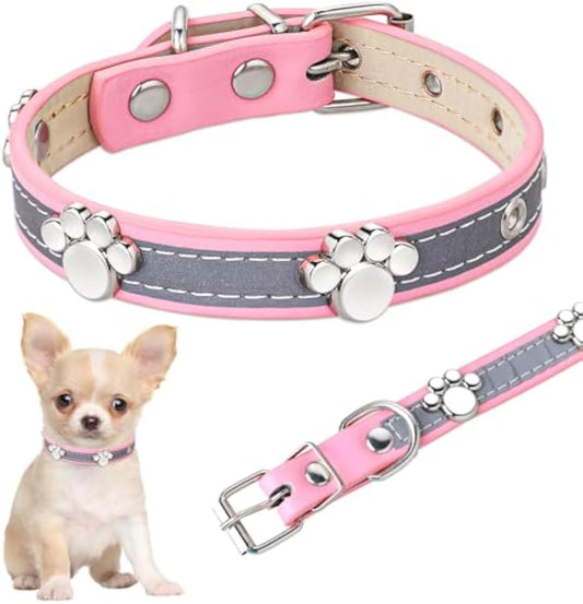 Dog Collar