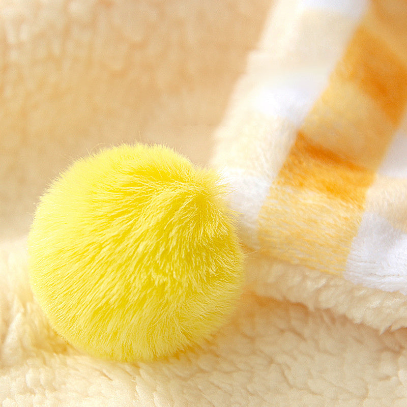 Dog Blanket