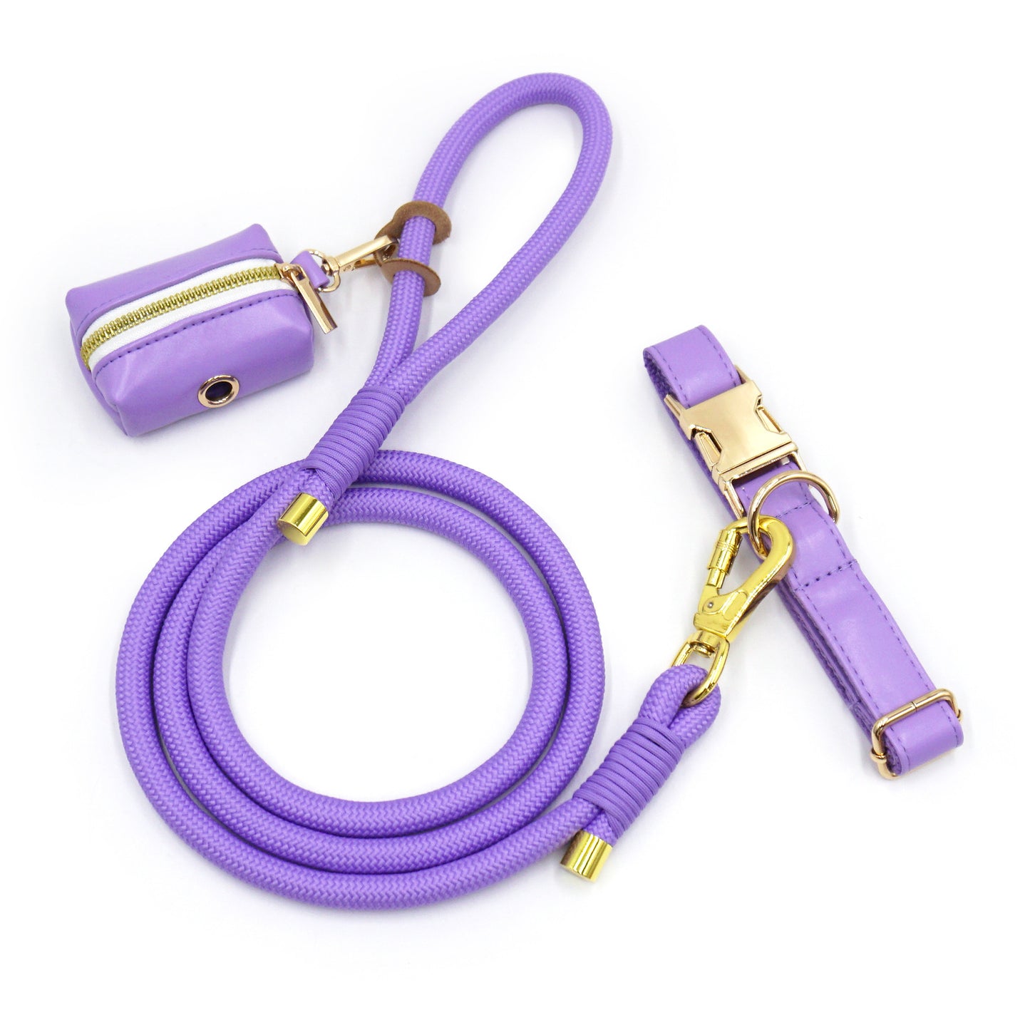 Dog Leash