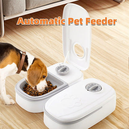 Dog Bowl
