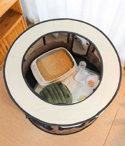 Dog House