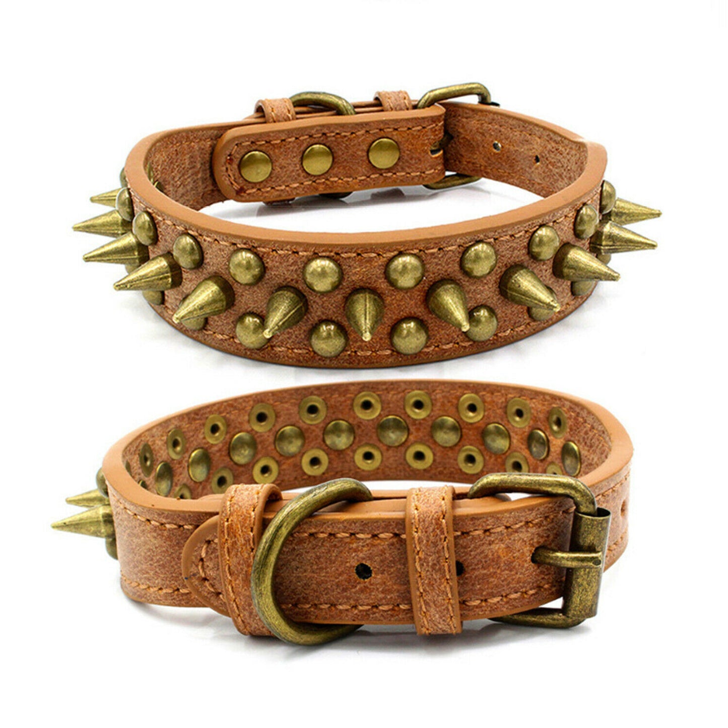 Dog Collar