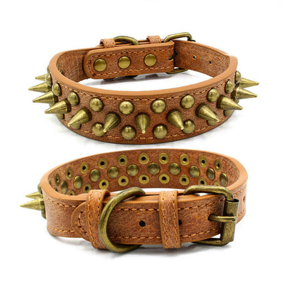 Dog Collar