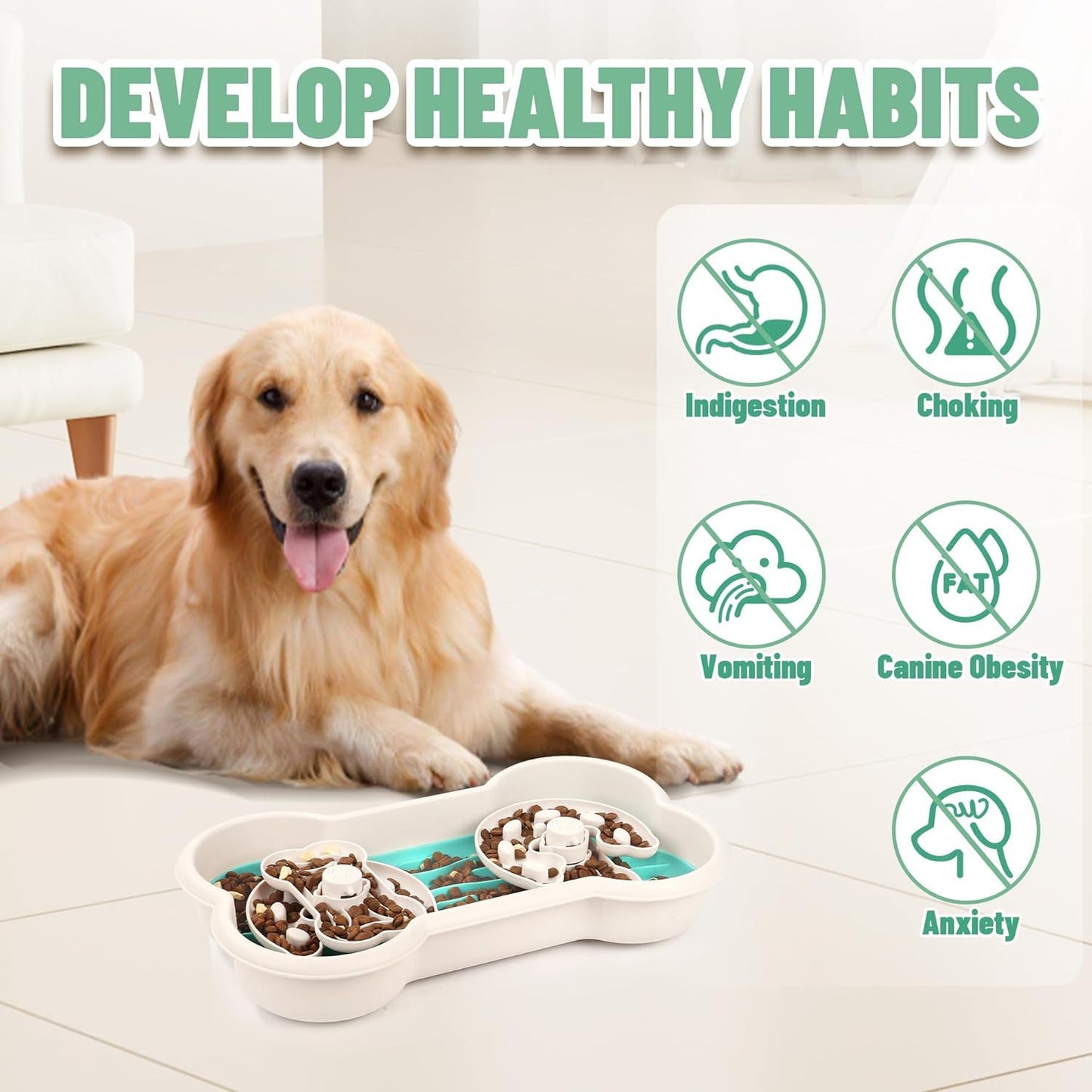 Dog Bowl
